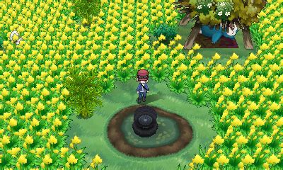 pokemon village xy|Iba pa.